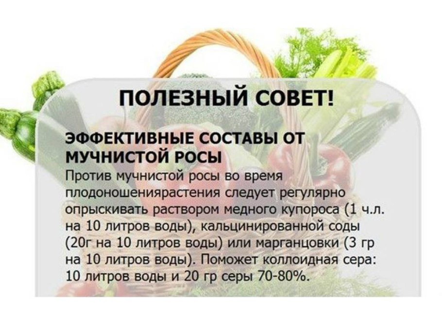 Раствор люголя показания