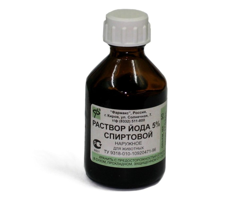 Водоросли ламинария