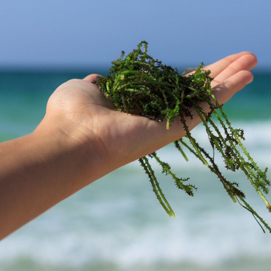 Раствор йода спиртовый раствор