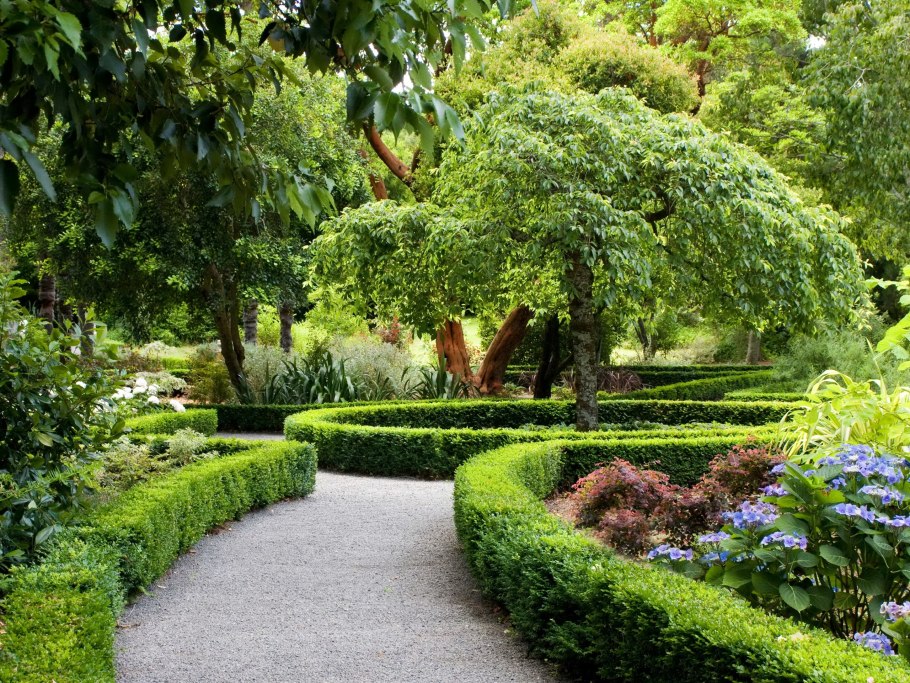 Парк Бельвиль кустарники