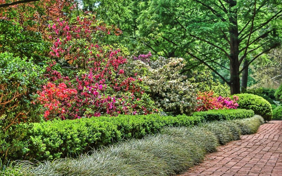 Кусты в парках