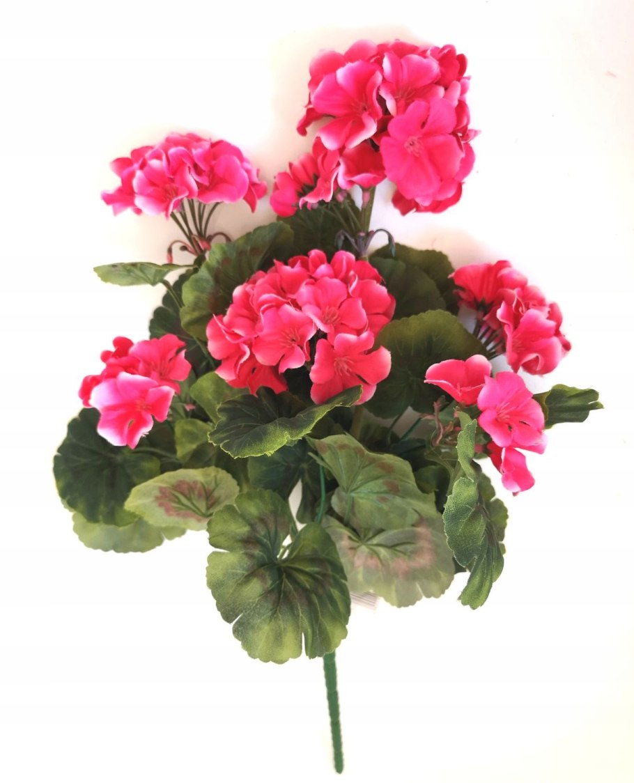 Гортензия метельчатая в кашпо