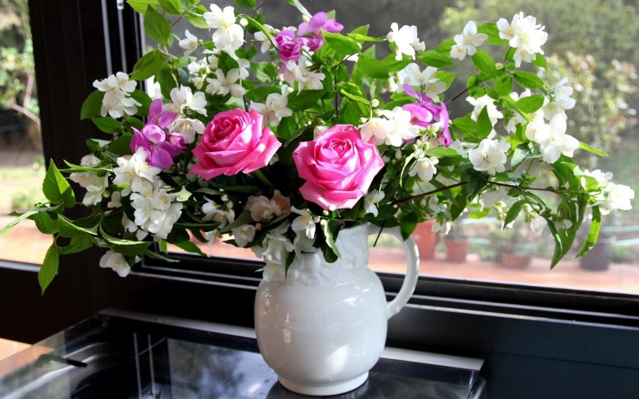 Бакопа с петунией