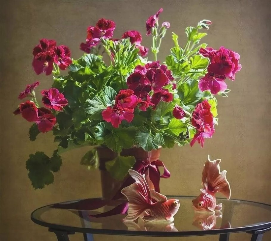 Красивый букет из герани