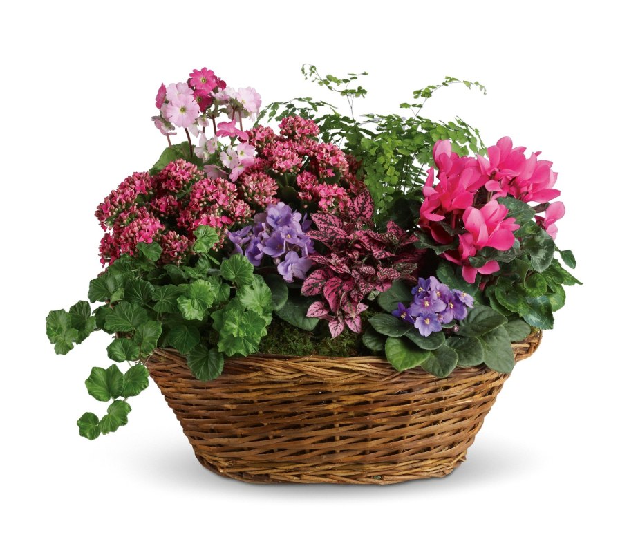 Корзина роз