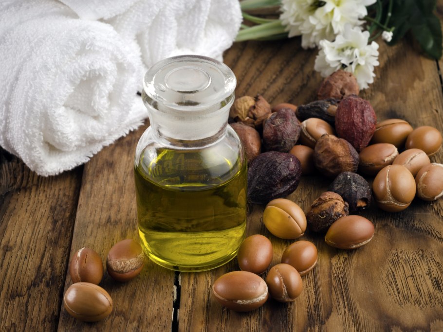 Жожоба рисунок вектор