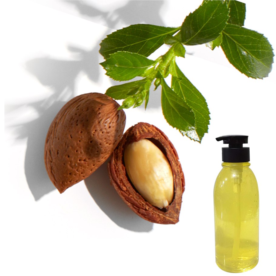 Жожоба кустарник