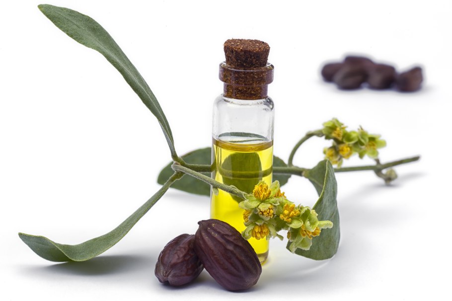 Simmondsia chinensis Oil