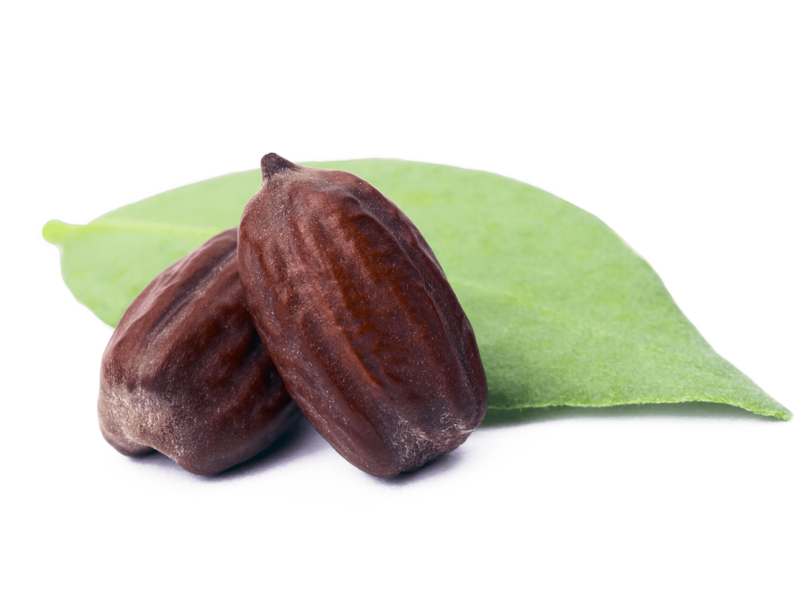 Зайтун меваси