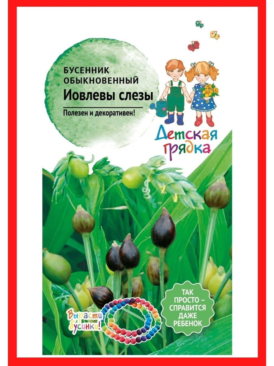 Бусенник обыкновенный купить семена