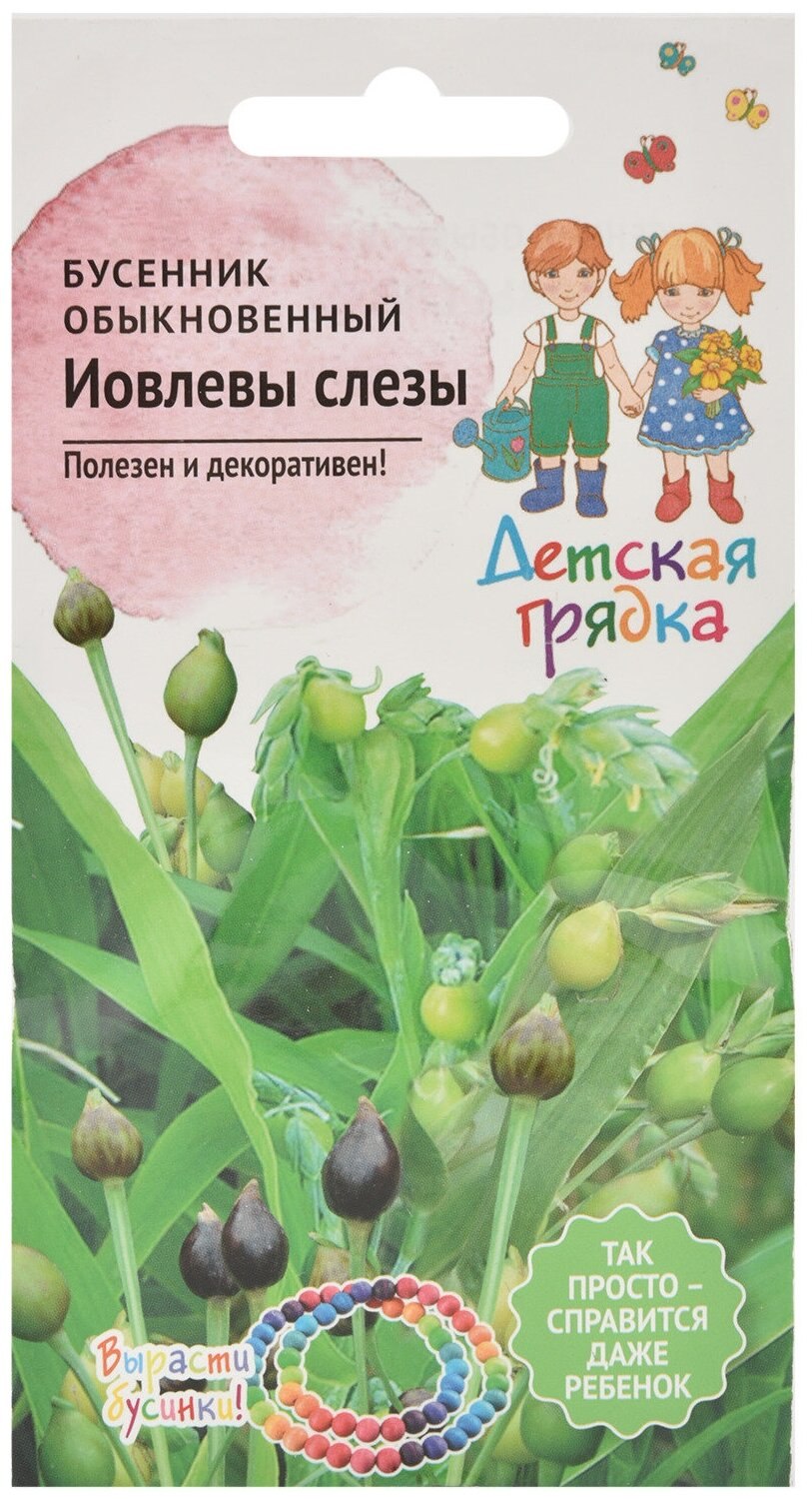 Бусенник 31