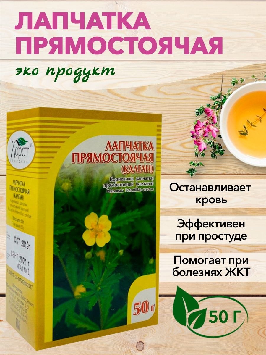 Корень Калгана Купить В Спб