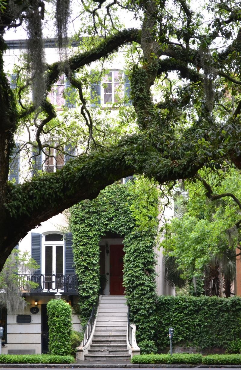 Savannah Джорджия