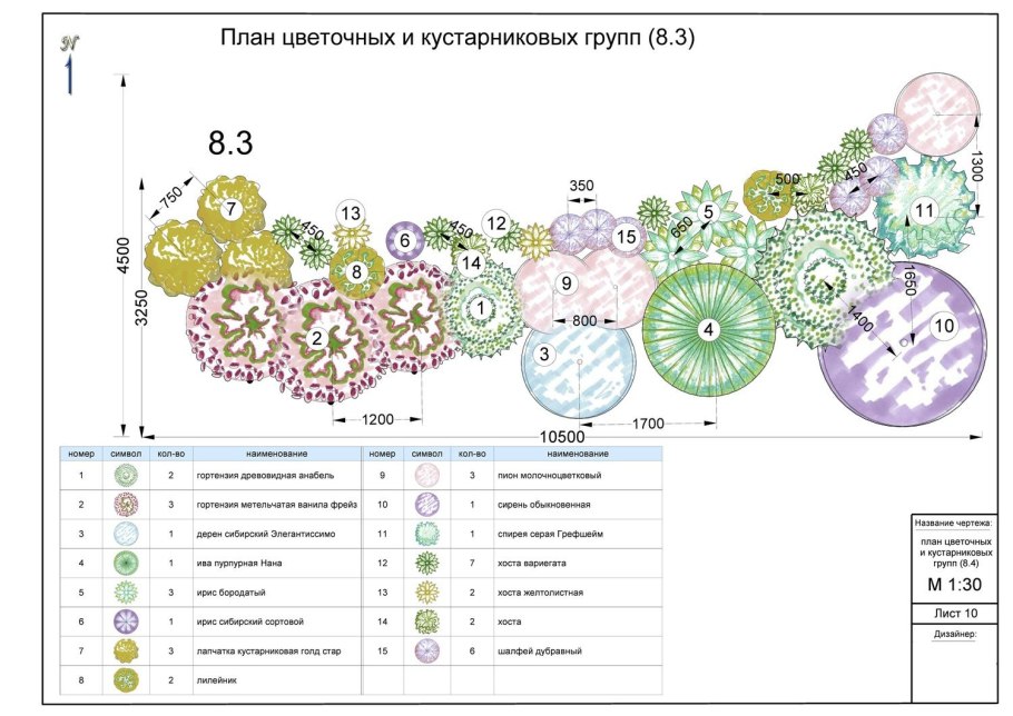 Миксбордер непрерывного цветения многолетников схема