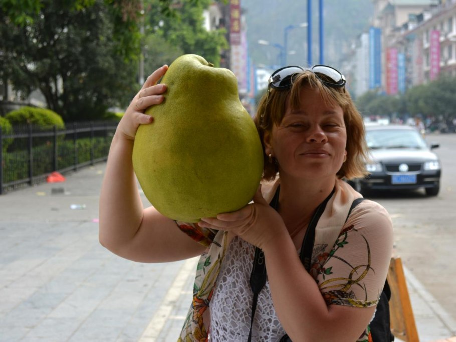 Памела фрукт на дереве