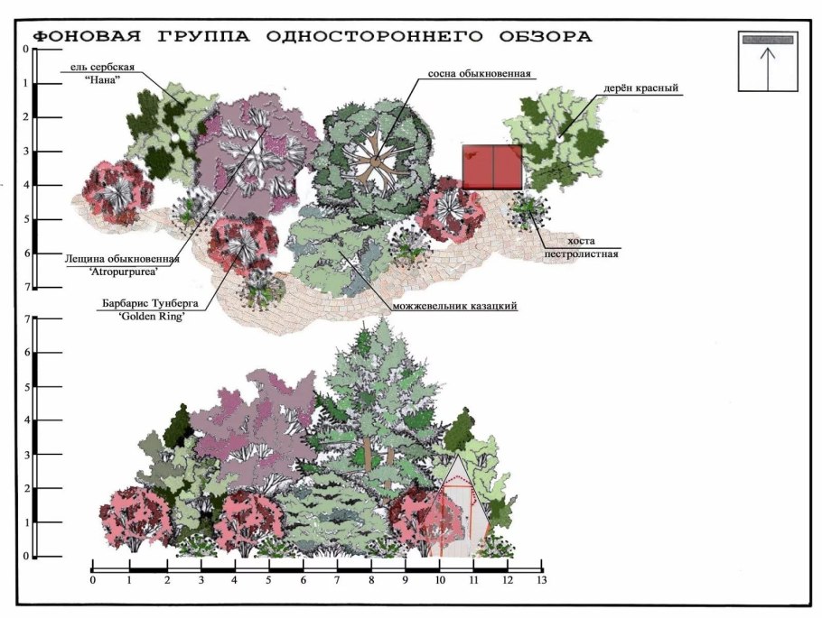 Схема посадки миксбордера с хвойными