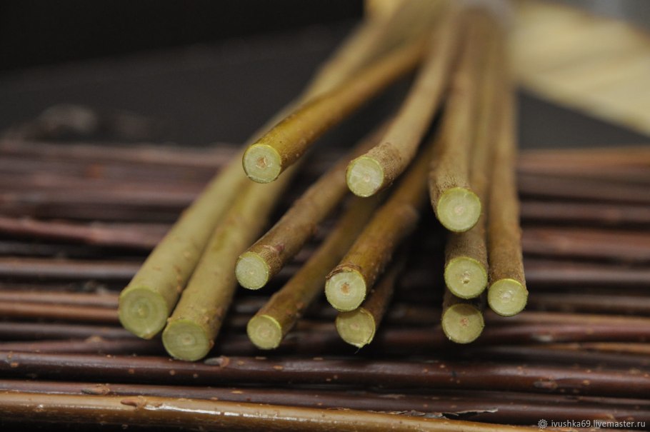 Ива трёхтычинковая черенки