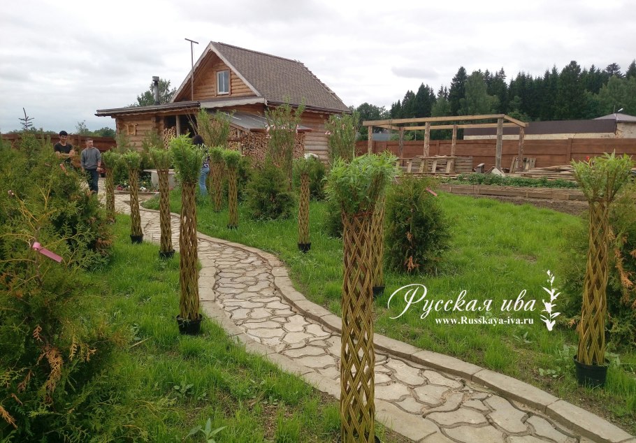 Марийский Кремль деревья плетеные