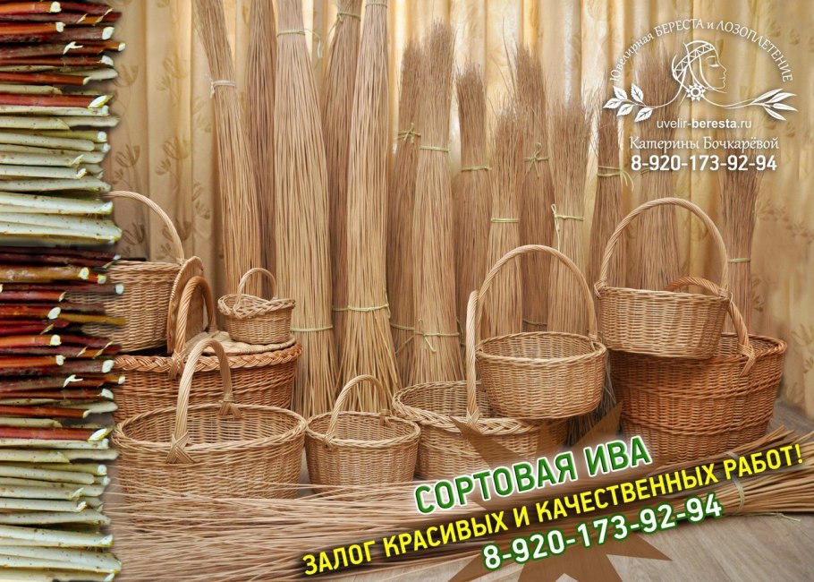 Лозоплетение Тверская Ива