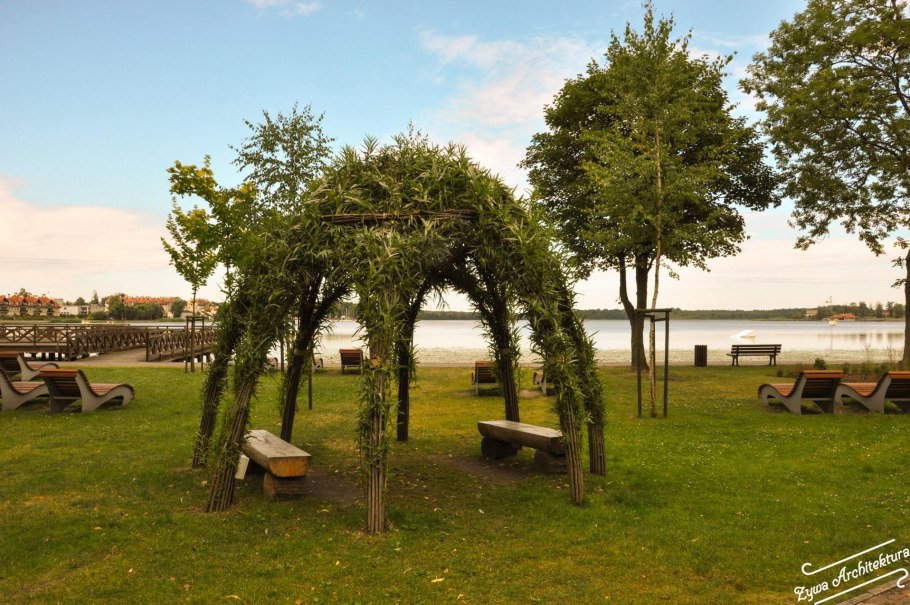 Арка из живых деревьев