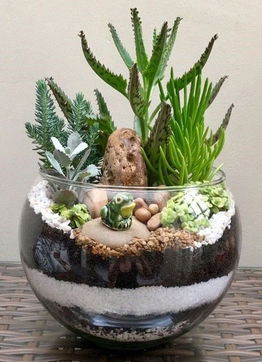 Флорариум с кактусами