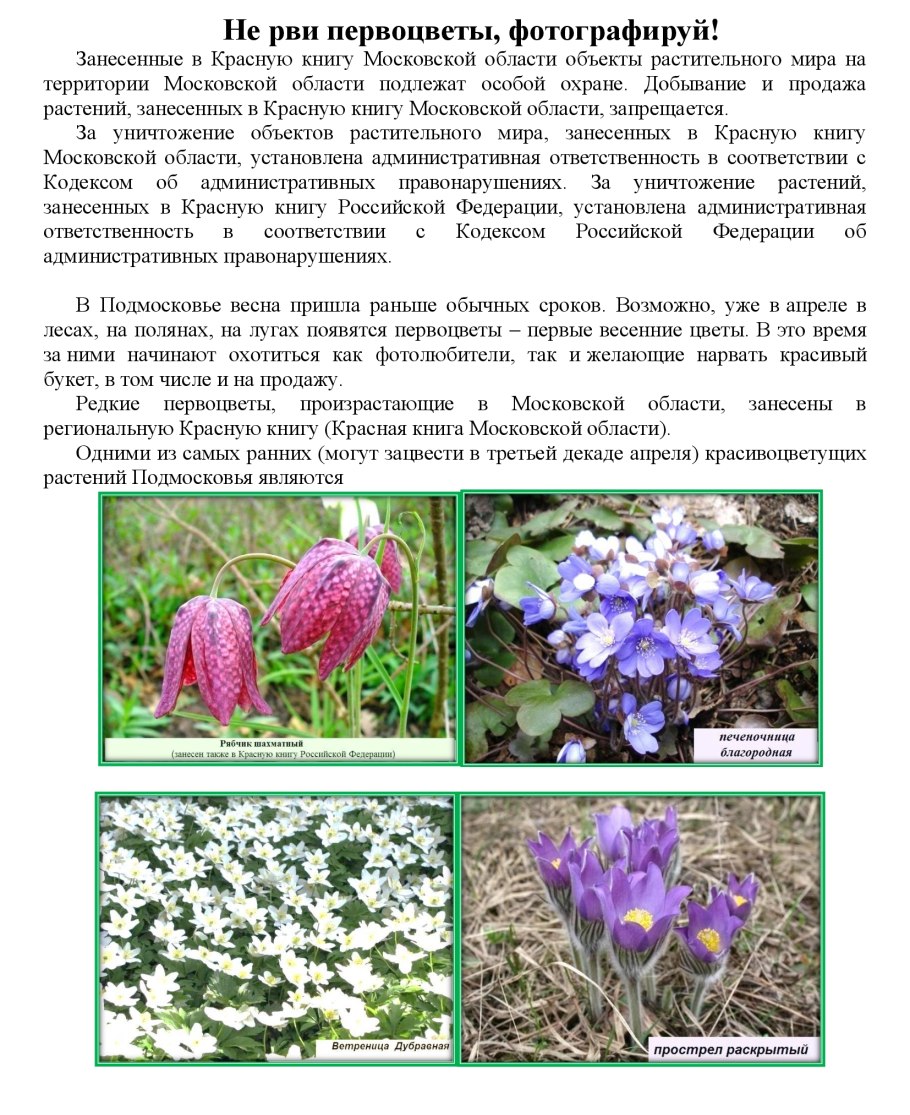 Первоцветы в красной книге России