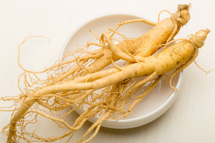Panax Ginseng женьшень