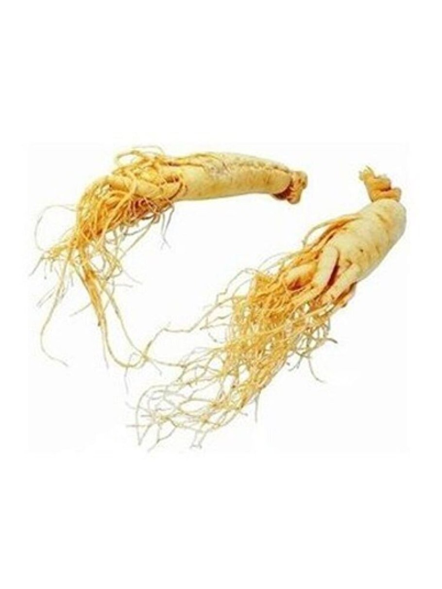 Panax Ginseng extract