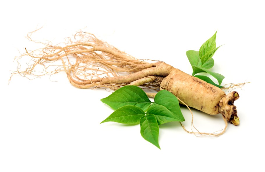 Бамбук Ginseng Impact