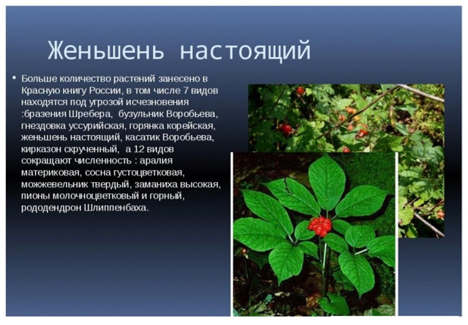 Растения красной книги России