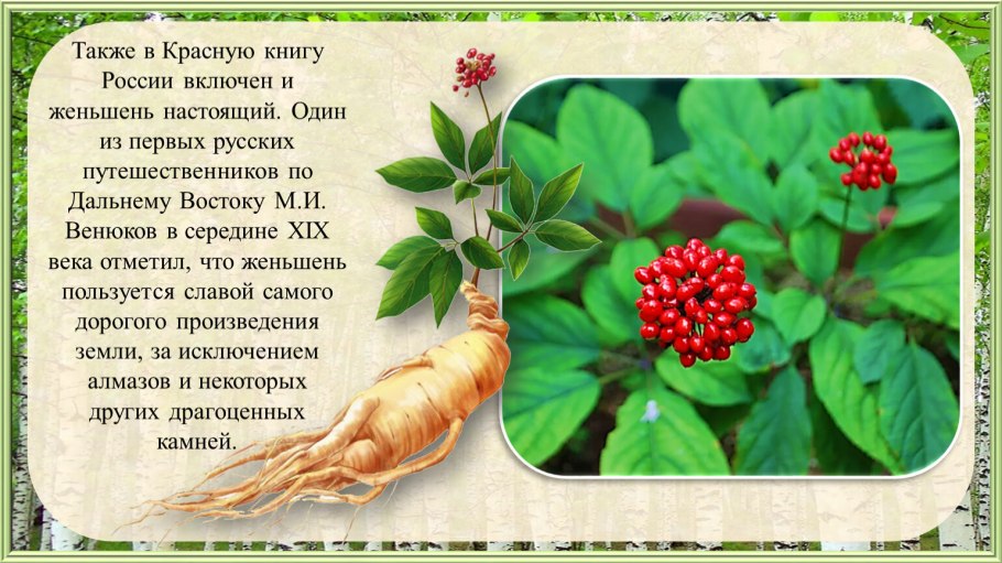 Красная книга России по растениям