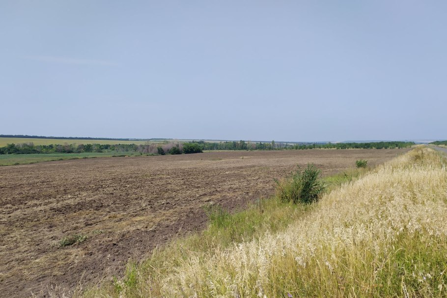 Стрельцовская степь Луганская область