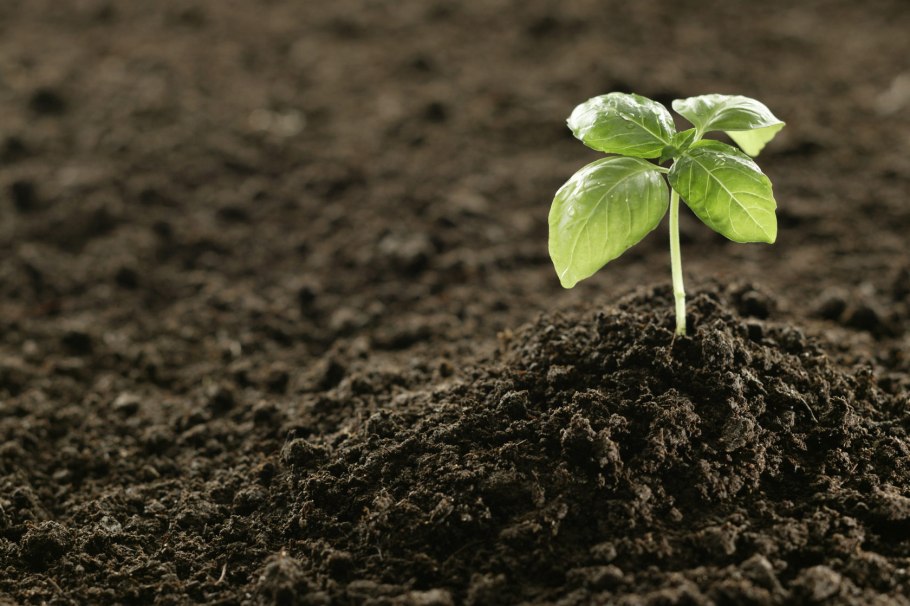 Fertile Soil