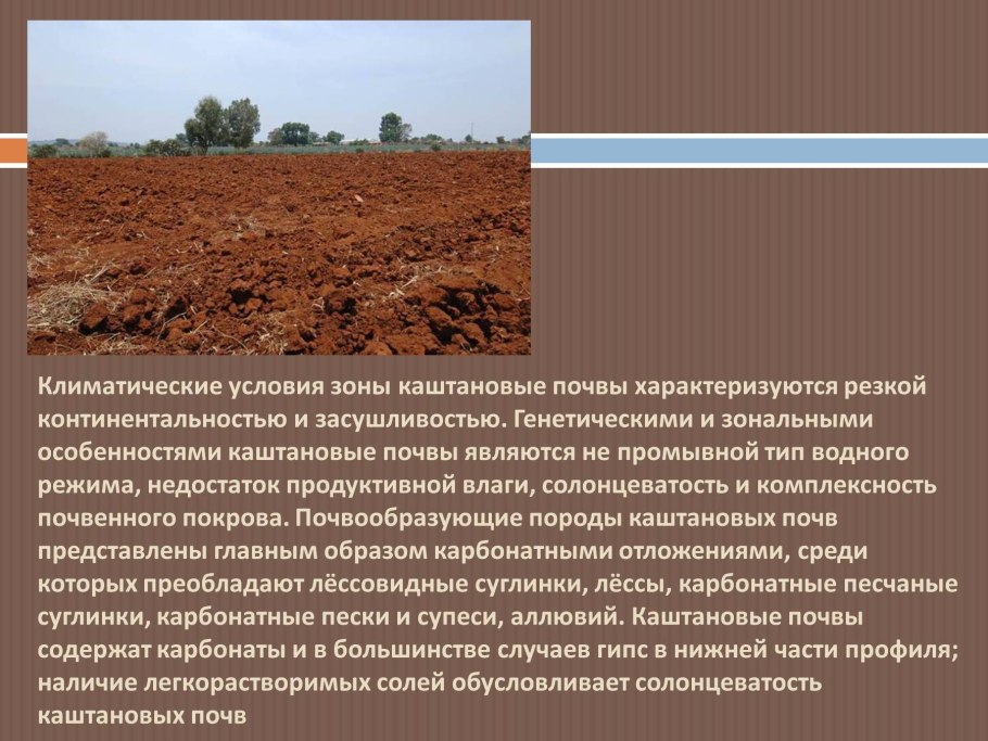 Каштановые почвы испаряемость