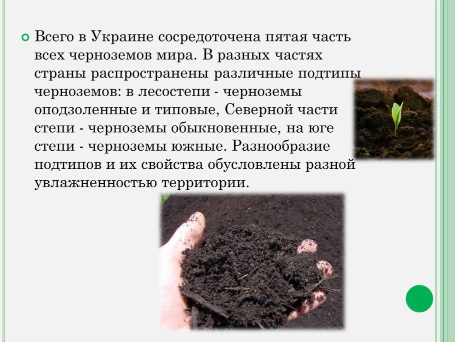Чернозём почвы проект