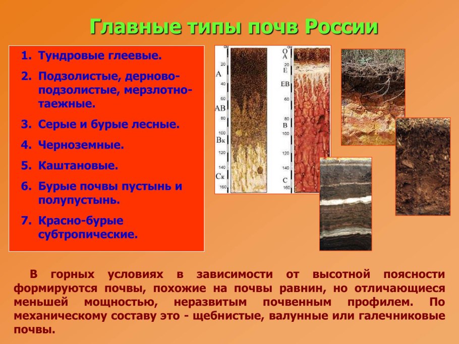 Дерново-подзолистые почвы климатический пояс