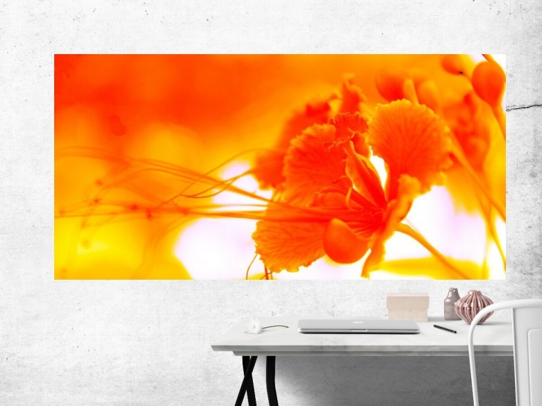 Цветы желтого и оранжевого цвета