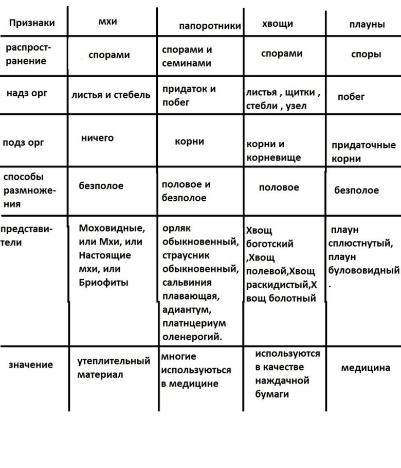 Хвощи плауны папоротники таблица