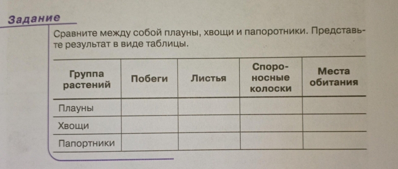 Сравните между собой папоротники плауны и хвощи таблица