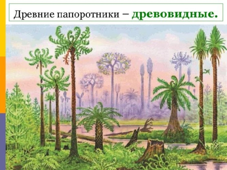 Древовидные папоротники каменноугольного периода