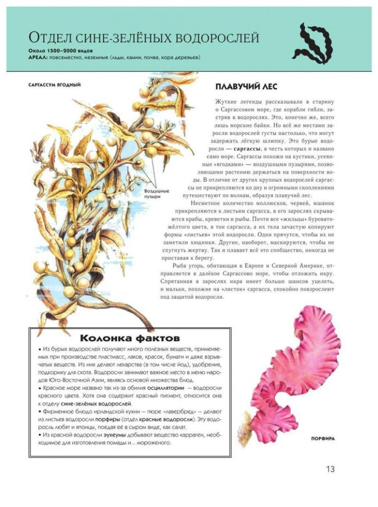 Полная энциклопедия растения Эксмо