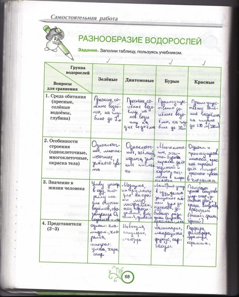 Многообразие водорослей класс биология таблица