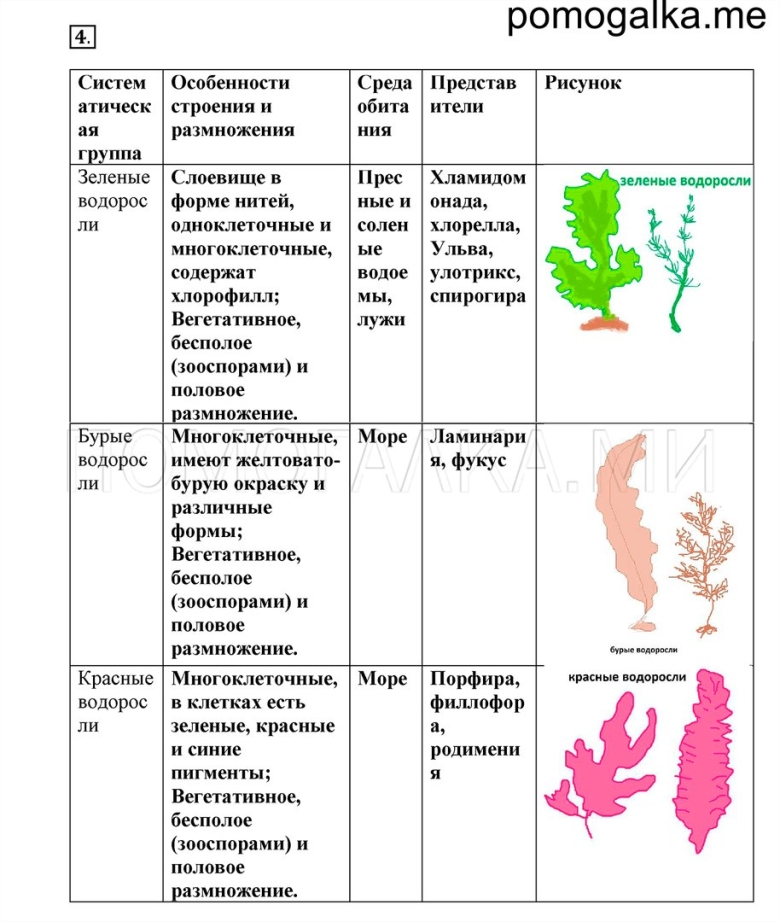 Классификация красных водорослей