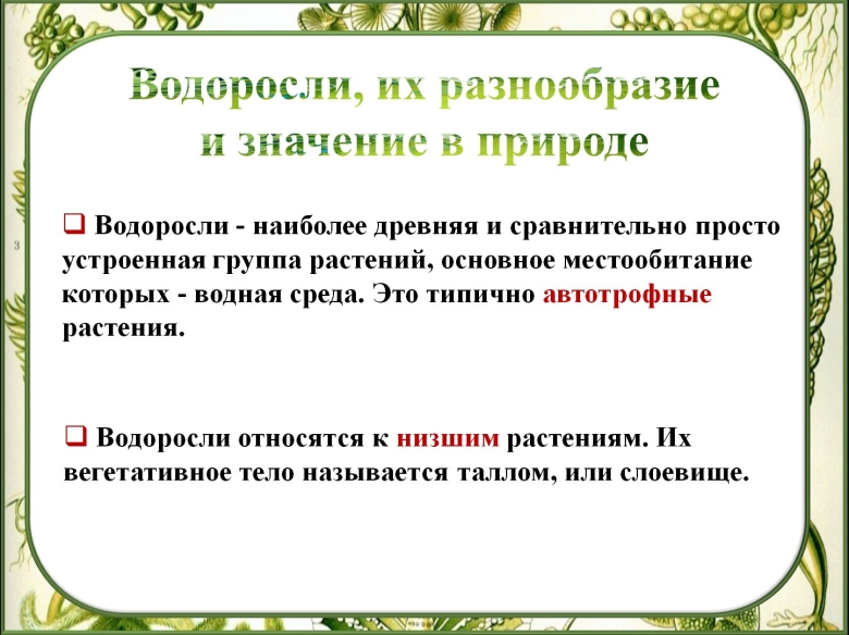 Водоросли их разнообразие и значение в природе