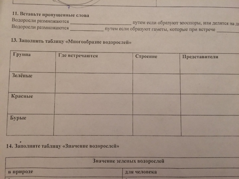 Таблица по биологии многообразие водорослей