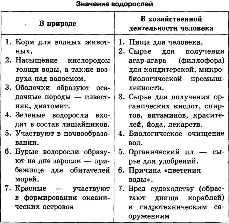 Биология таблица значение водорослей в природе и жизни человека
