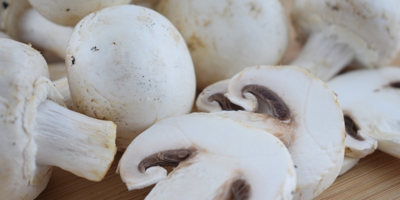 Гриб шампиньон