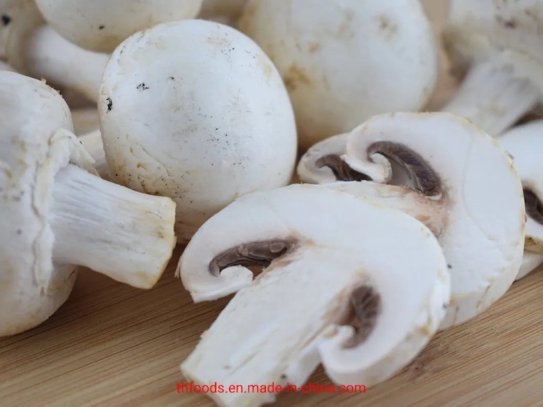 Гриб шампиньон