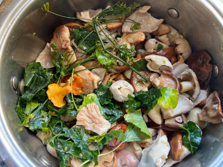 Грибы рецепты