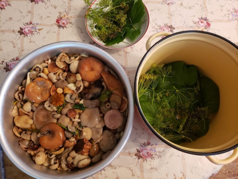 Козляк гриб вареный